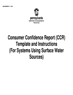 Consumer Confidence Report Template