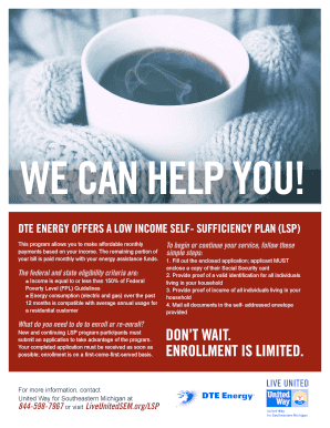 Low Income Self-Sufficiency Plan Application