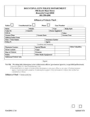 Affidavit of Vehicle Theft