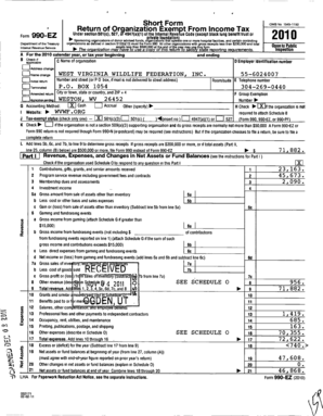Form 990-EZ 2010