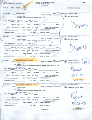 Criminal Case Record Form