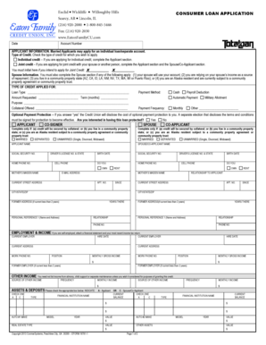 Consumer Loan Application Form
