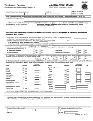 Work Capacity Evaluation Form
