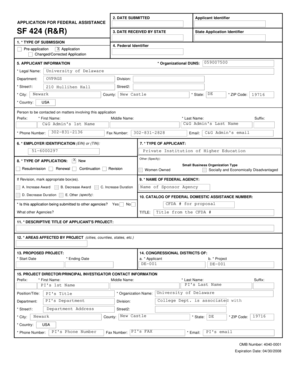 Application for Federal Assistance