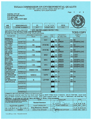 Texas Monthly Effluent Report