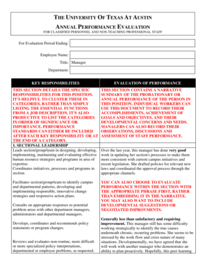 University of Texas Annual Performance Evaluation