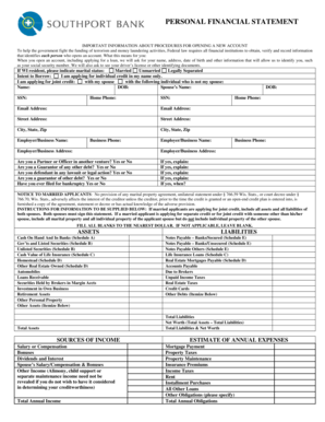 Personal Financial Statement Form