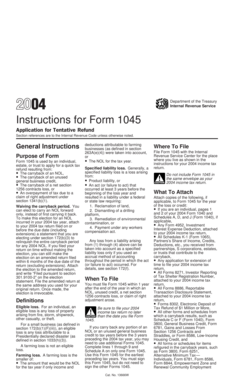 Instructions for Form 1045