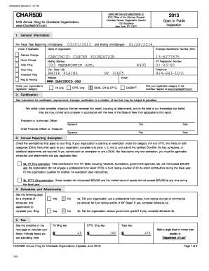 New York Charitable Organization Annual Filing