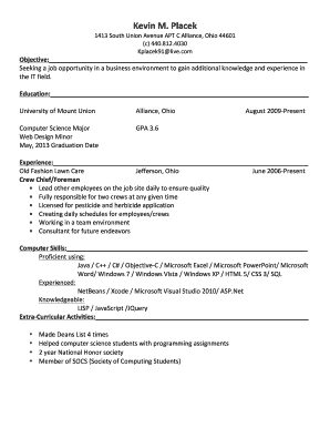 IT Job Application Resume