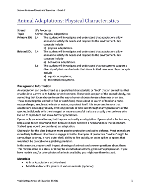 Animal Adaptations Activity Sheet