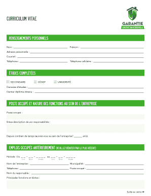 Formulaire de curriculum vitae