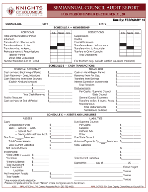 Semi-Annual Council Audit Report