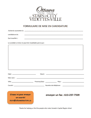 FORMULAIRE DE MISE EN CANDIDATURE