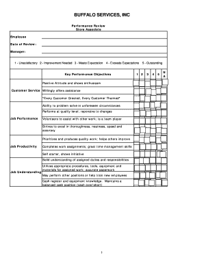 Buffalo Services Store Associate Performance Review