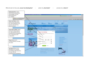 Carnival Cruise Check-In Form