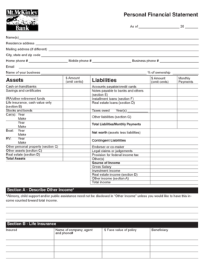 Personal Financial Statement Form