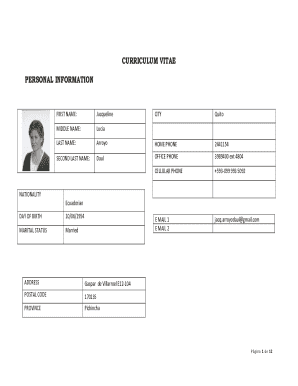 Curriculum vitae