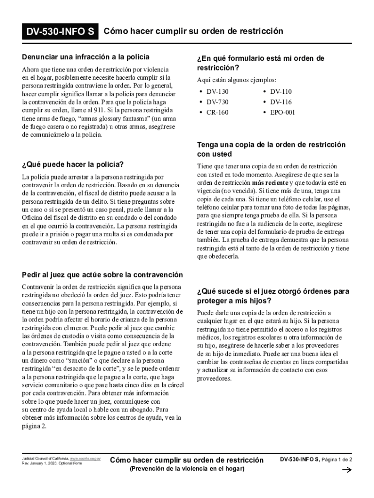 Dv-530-info S Preview on Page 1