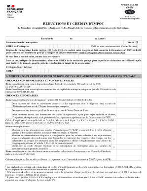 French Tax Credit and Deduction Summary Form