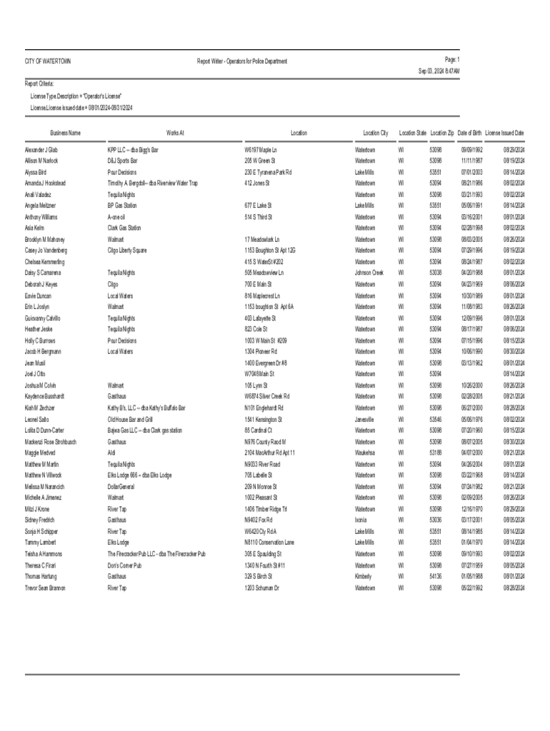 Form preview