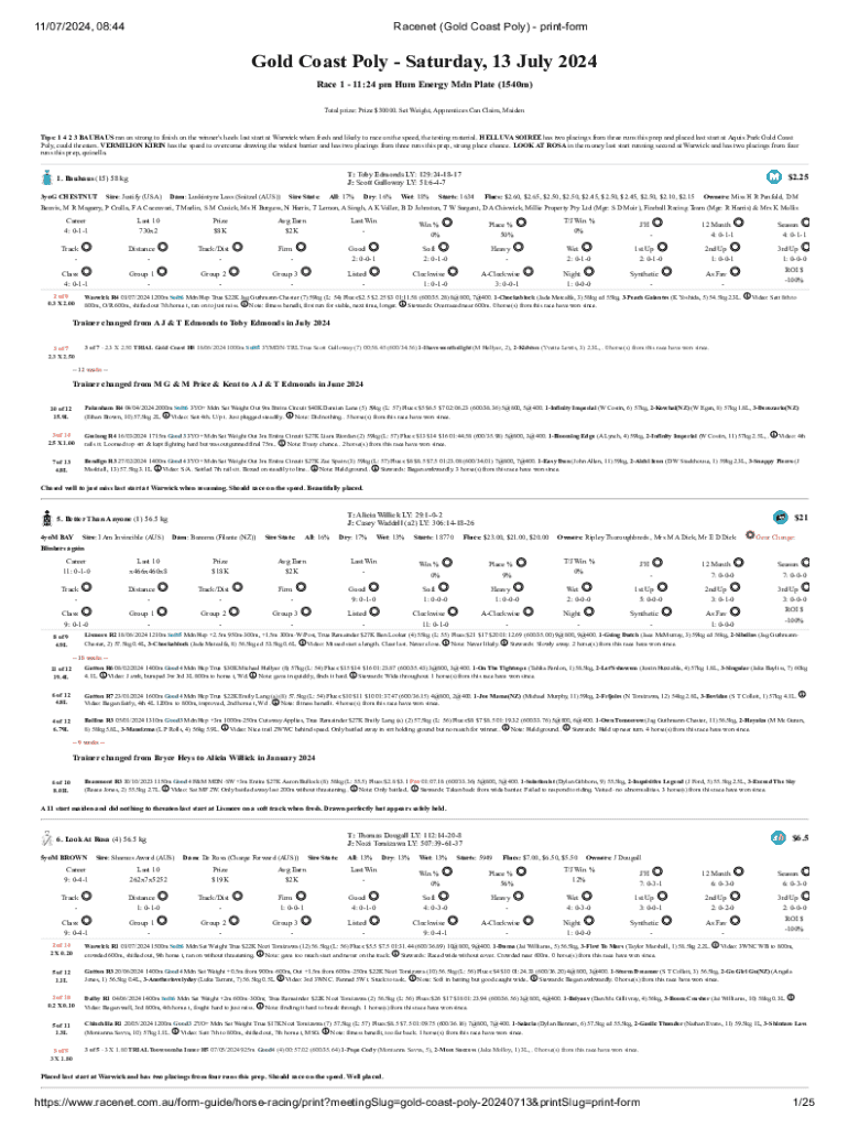 Form preview