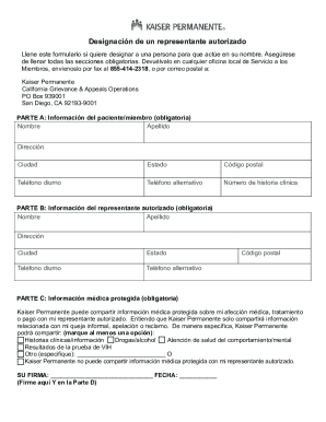 Designación De Un Representante Autorizado