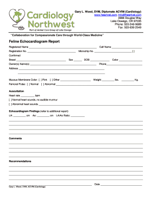 Feline Echocardiogram Report