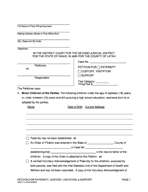 Idaho Petition for Paternity, Custody, Visitation, & Support