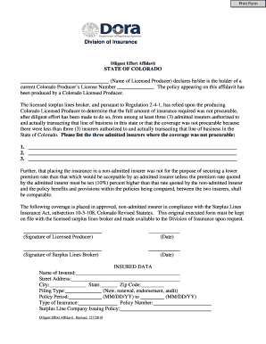 Diligent Efford Affidavit