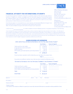 Affidavit of family's financial income - Financial Affidavit: Lubin School of Business - Global Pathways