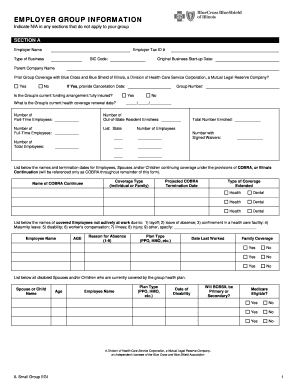 Illinois Small Group Employer Information Form
