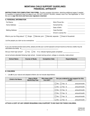 Montana Child Support Financial Affidavit