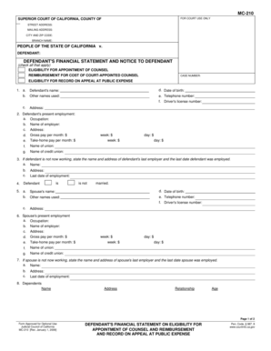 Defendant's Financial Statement and Notice