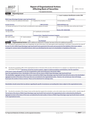 Form 8937 Report