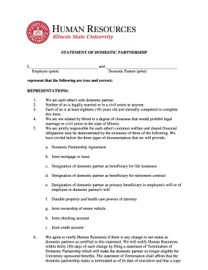 Illinois Domestic Partnership Statement