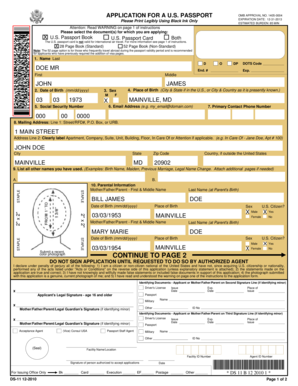 US Passport Application Form DS-11