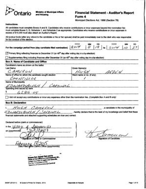 Ontario Municipal Election Financial Statement