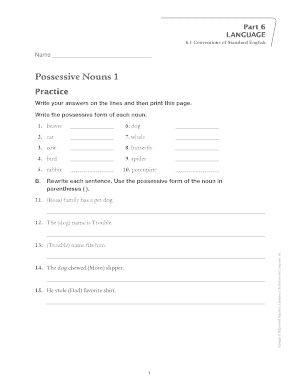 Possessive Nouns Worksheet