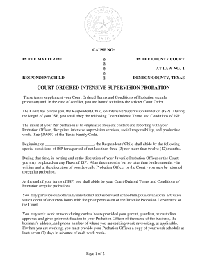 Texas Court Ordered Intensive Supervision Probation