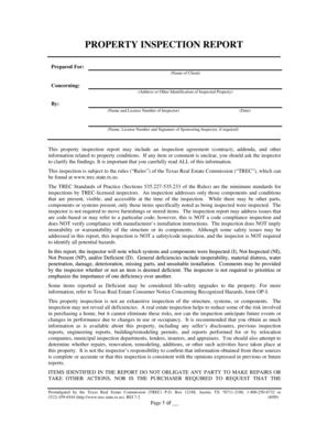 Texas Property Inspection Report