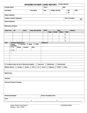 Interim Patient Care Report