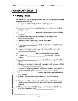Vocabulary Skills Worksheet