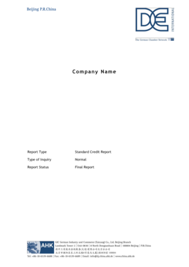 Standard Credit Report