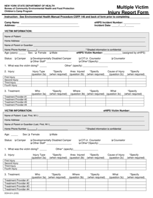 New York State Children's Camp Injury Report Form