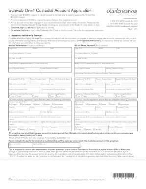 Schwab One Custodial Account Application