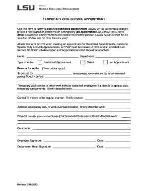 Temporary Civil Service Appointment Form