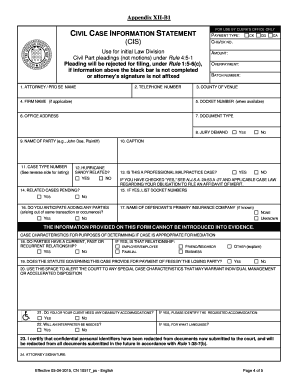 Civil Case Information Statement