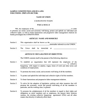 SAMPLE CONSTITUTION AND BY-LAWS - Bureau of Labor Relations