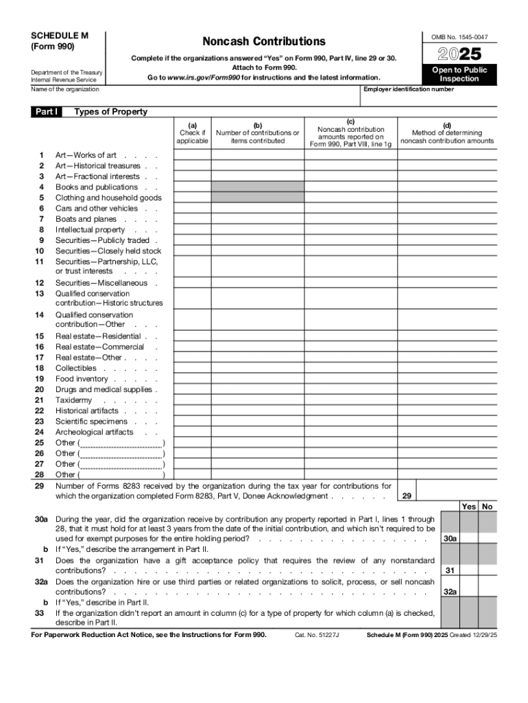 Schedule M Form 990 Noncash Contributions Preview on Page 1